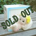 sold ベビープランター　アルファベットブロック　ベビーとネコちゃん