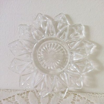 画像9: フェデラル　ペタル　クリア　プレート （小）