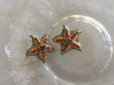 画像6: sold AVON KJL Vintage Rine Stone Starfish Earring
