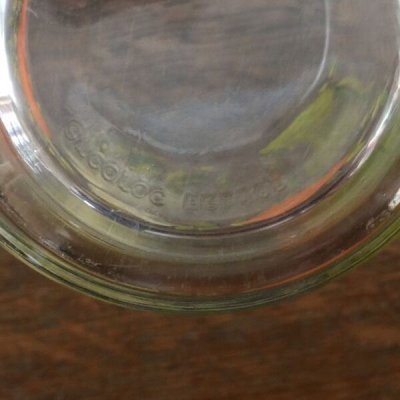 画像6: ＊ フランス　アルコパル　スパイスオブライフ　グラスマグ