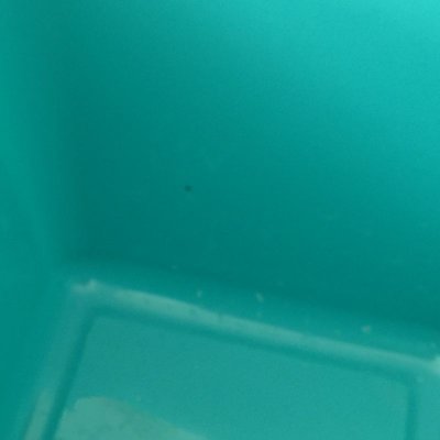 画像11: ビンテージ・ラストロウェア　キャニスター（大）ターコイズカラー「F」デザイン　1940年代〜1950年代　