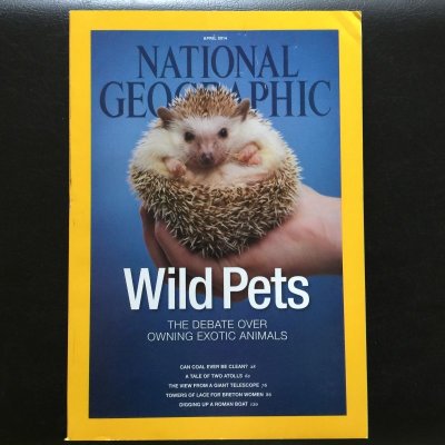 画像6: 雑誌 ナショナルジオグラフィック 2014年1・3・4・5月号 4冊セット