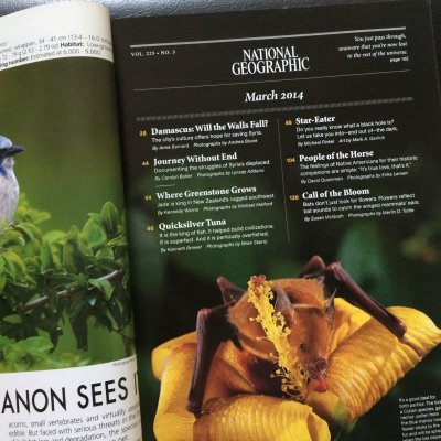 画像5: 雑誌 ナショナルジオグラフィック 2014年1・3・4・5月号 4冊セット