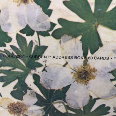 画像8: 未使用ビンテージ・アドレスカードボックス　1981年　米国製