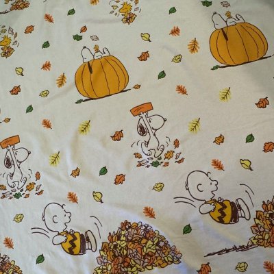 画像3: ＊　スヌーピー・オータムパンプキン　ピーナッツ・カーテン　2021年