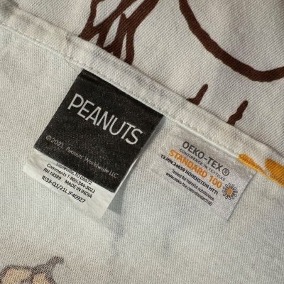 画像6: ＊　スヌーピー・オータムパンプキン　ピーナッツ・カーテン　2021年