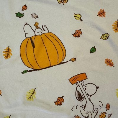 画像5: ＊　スヌーピー・オータムパンプキン　ピーナッツ・カーテン　2021年