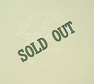 画像2: sold ファイヤーキング　ゴールデン・シェル　ディナープレート　10インチ（25.5cm） (2)