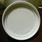 画像: Salton, Yogurt Container with Lid