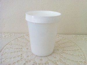 画像2: Salton, Yogurt Container with Lid (2)